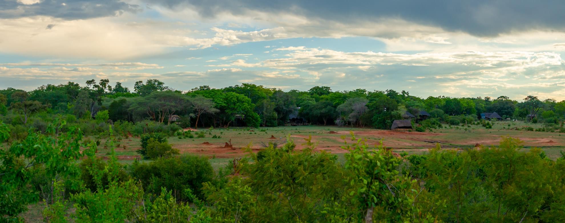 Ivory Lodge