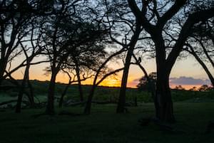 Zimbabwe Wildlife Elephants Victoria Falls Zimbabwe Ruins Great Zimbabwe
